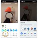How to Download Tiktok Videos