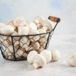 How to choose reliable systems for professional mushroom cultivation