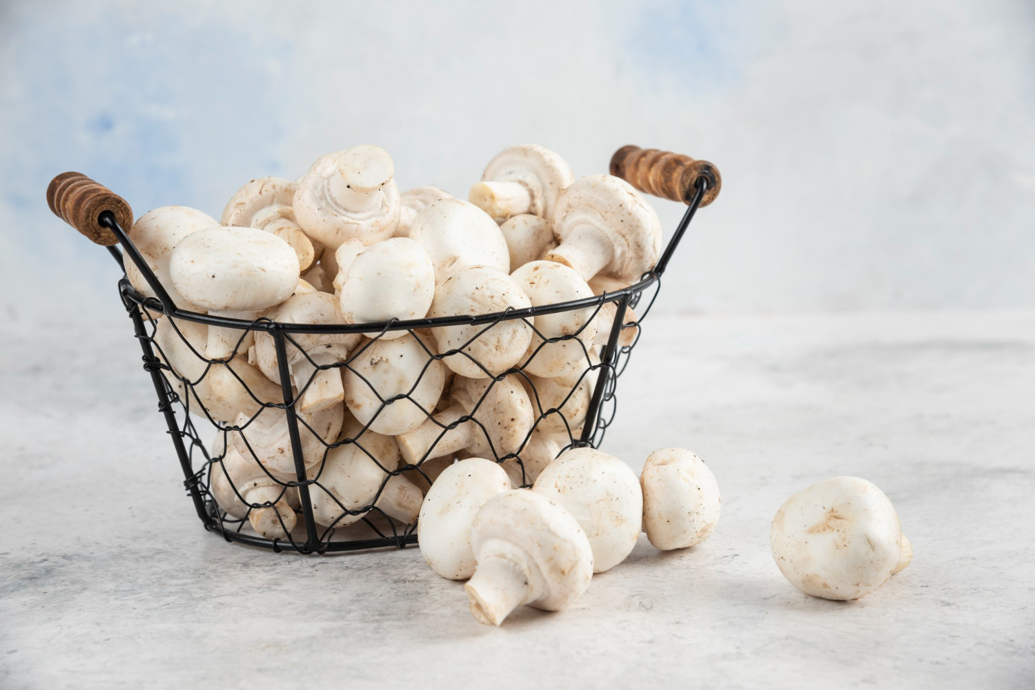 How to choose reliable systems for professional mushroom cultivation